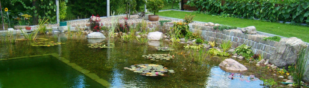 Gemauerte Pflastersteine umgeben den Schwimmbereich und trennen ihn von höhergelegenen Gartenbereichen ab