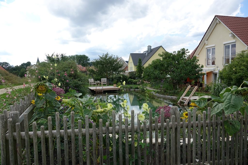 Blick auf den Schwimmteich von hinter dem Gartenzaun