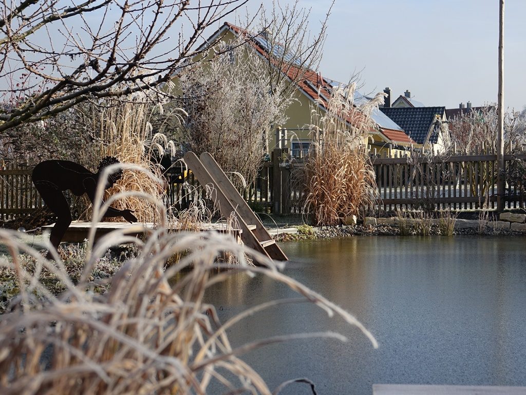 Schwimmteich im winterlichen Ambiente