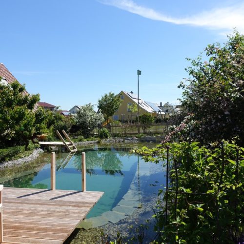 Entdecken Sie einen selbstgebauten Schwimmteich in Bayern. Professionelle Folienverlegung und naturnahe Technik für klare Wasserqualität.