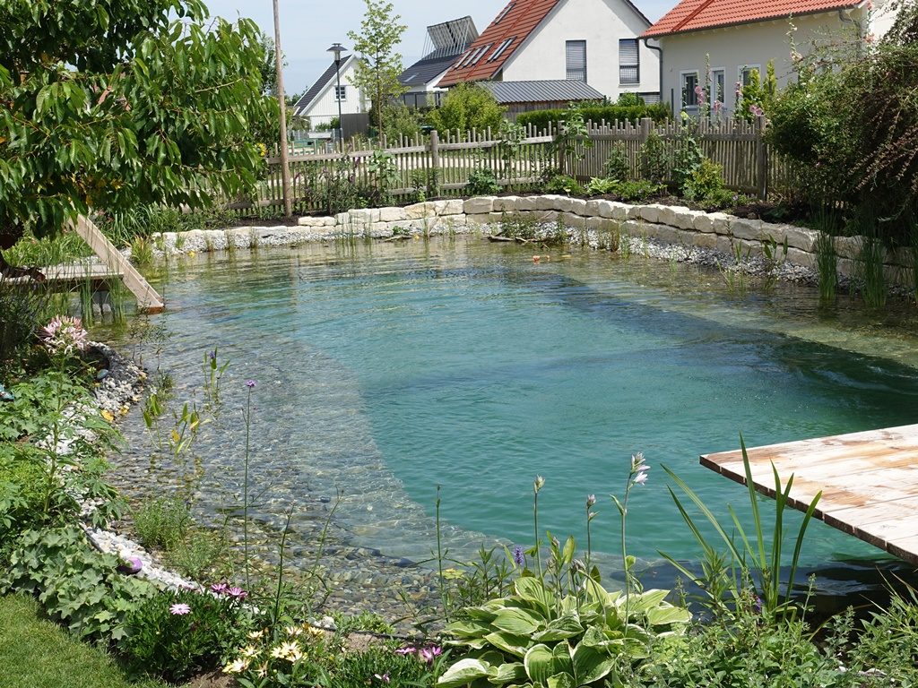 Ansicht eines vollendeten Schwimmteichs