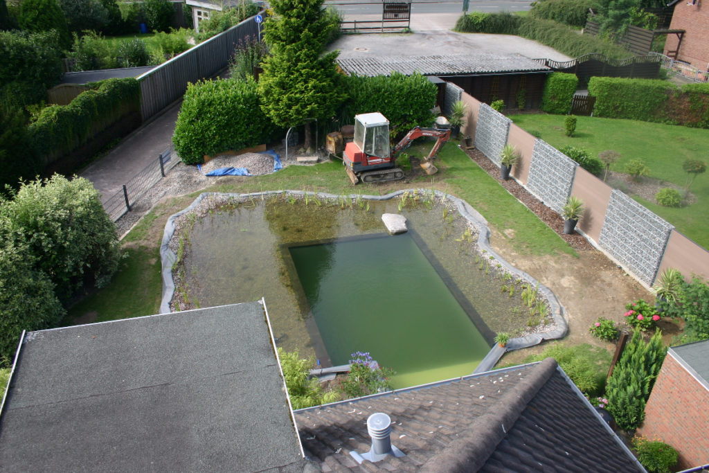 Der dekorative flache Findling, der als stilvoller Sprungturm fungiert. Schwimmteich mit viel Eigenitiative selbst gebaut