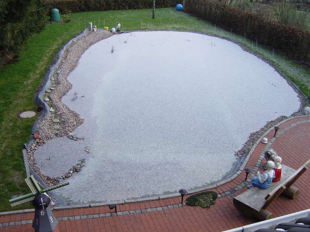 Teich im Winter