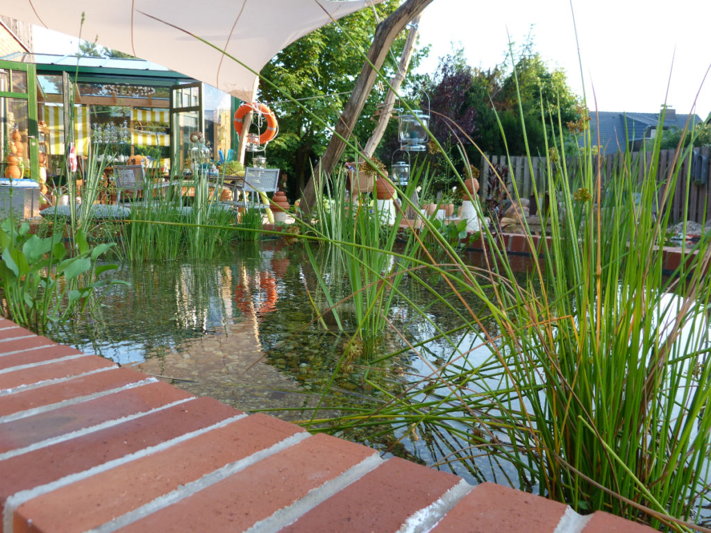 Blick auf die Pflanzzone mit hochgewachsenen Wasserpflanzen im Selbstbau-Schwimmteich.