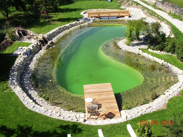 Ein beeindruckender Blick auf den Schwimmteich aus der Vogelperspektive. Schwimmteich Selbstbau bei Nürnberg in Bayern