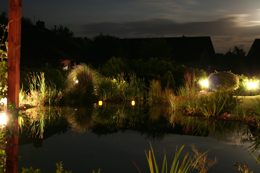 Tolle Lichteffekte im eigenen Garten es werden die Wasserpflanzen zusammen mit dem restlichen Garten beleuchtet