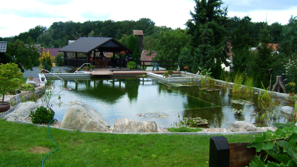 Schwimmteich mit Pflanzen, Kies, Felsen und Holzterrasse