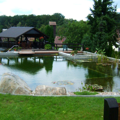 Schwimmteich mit Pflanzen, Kies, Felsen und Holzterrasse