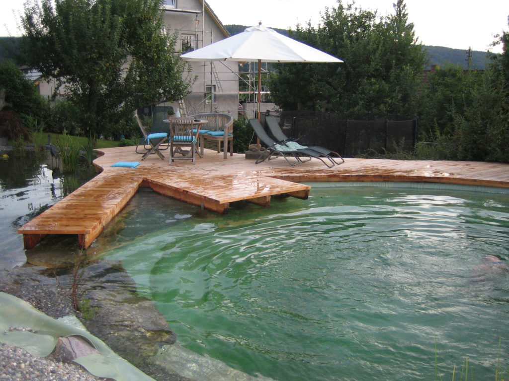 Der gesamte Schwimmteich ist mit Wasser gefüllt. Eine Holzterrasse mit Sonnenschirm und Liegen wurde gebaut. Im Hintergrund sind Bäume und ein Haus zu sehen.