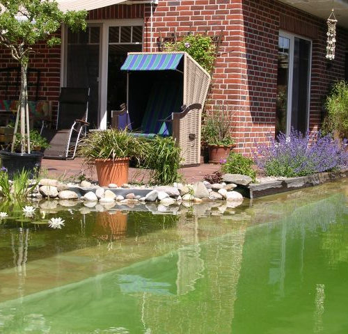 Ein Strandkorb auf der Terrasse neben dem Schwimmteich zum Verweilen ein