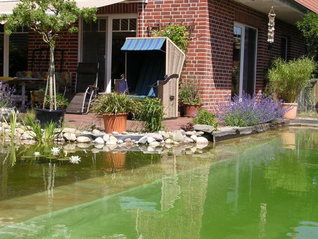 Ein Strandkorb auf der Terrasse neben dem Schwimmteich zum Verweilen ein