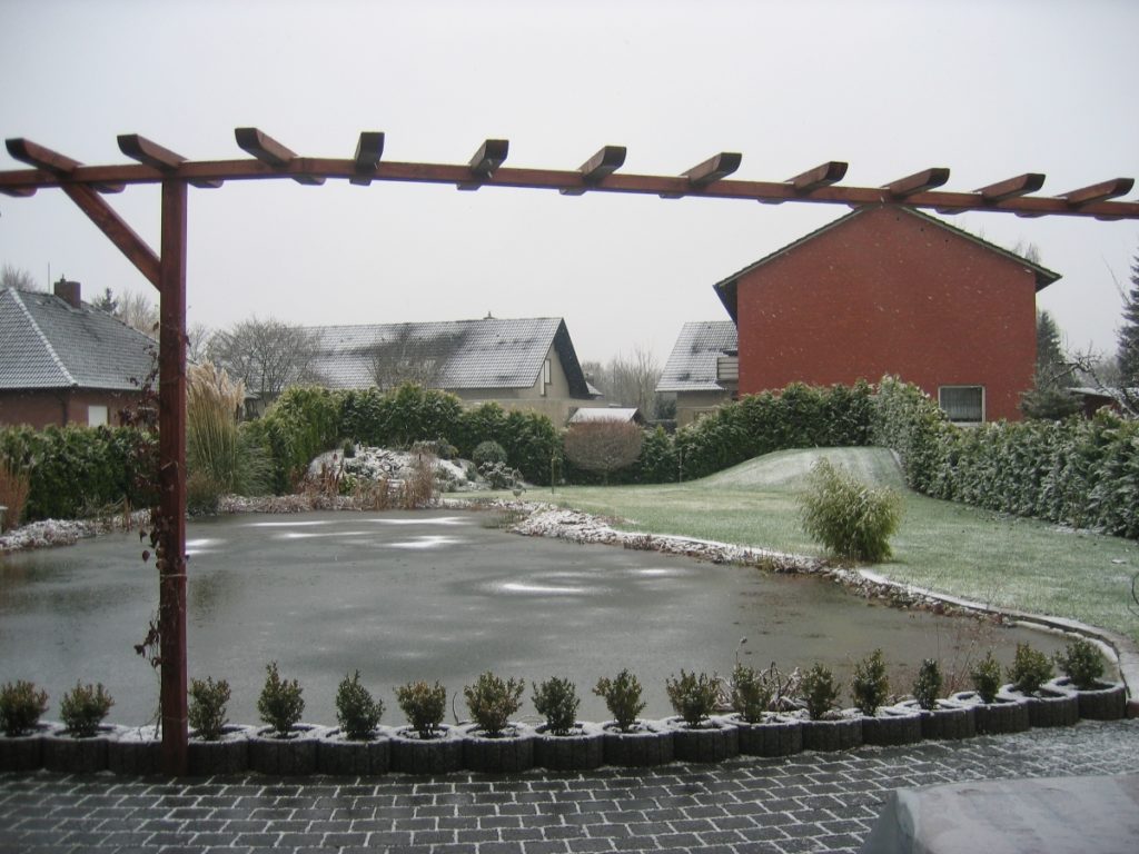 Sicht auf Teich von der Terrasse aus