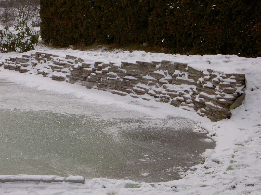 Zugefrorener Teich mit Mauer