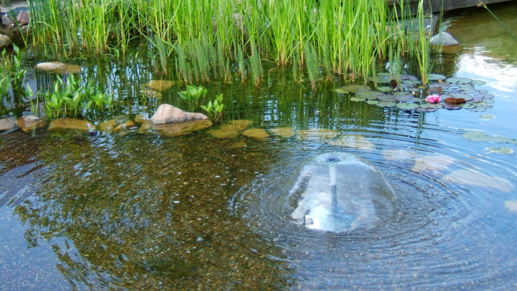 Kleines Wasserspiel in Pflanzenbereich