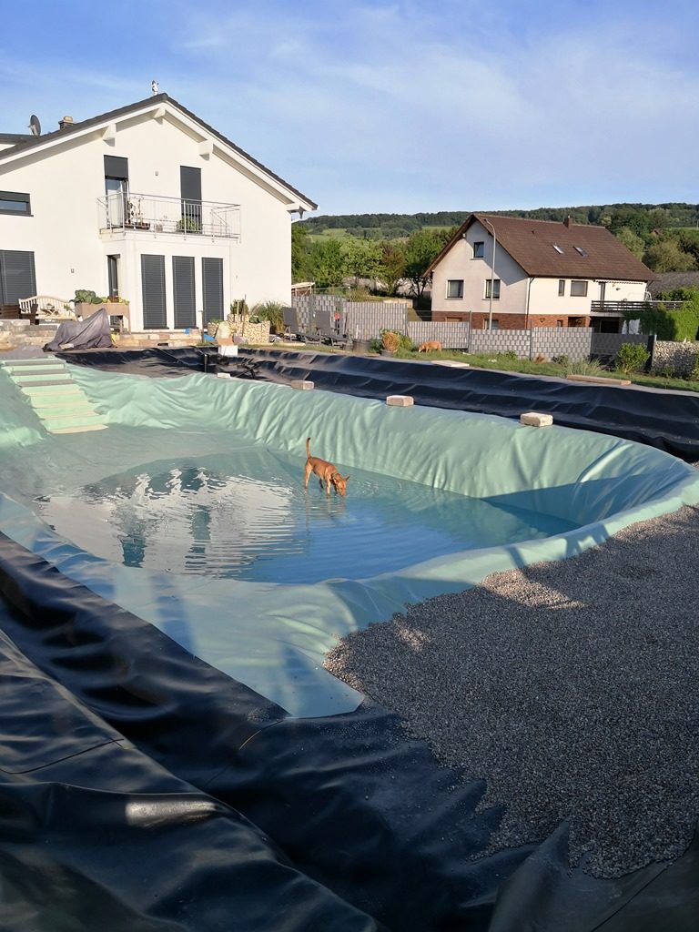 Der Schwimmbereich ist teilweise mit Wasser gefüllt, der Pflanzbereich ist teilweise mit Kies befüllt, und ein Hund steht im Wasser.