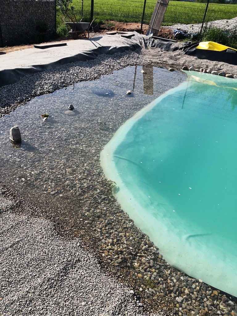 Der Pflanzbereich ist teilweise mit Wasser gefüllt.