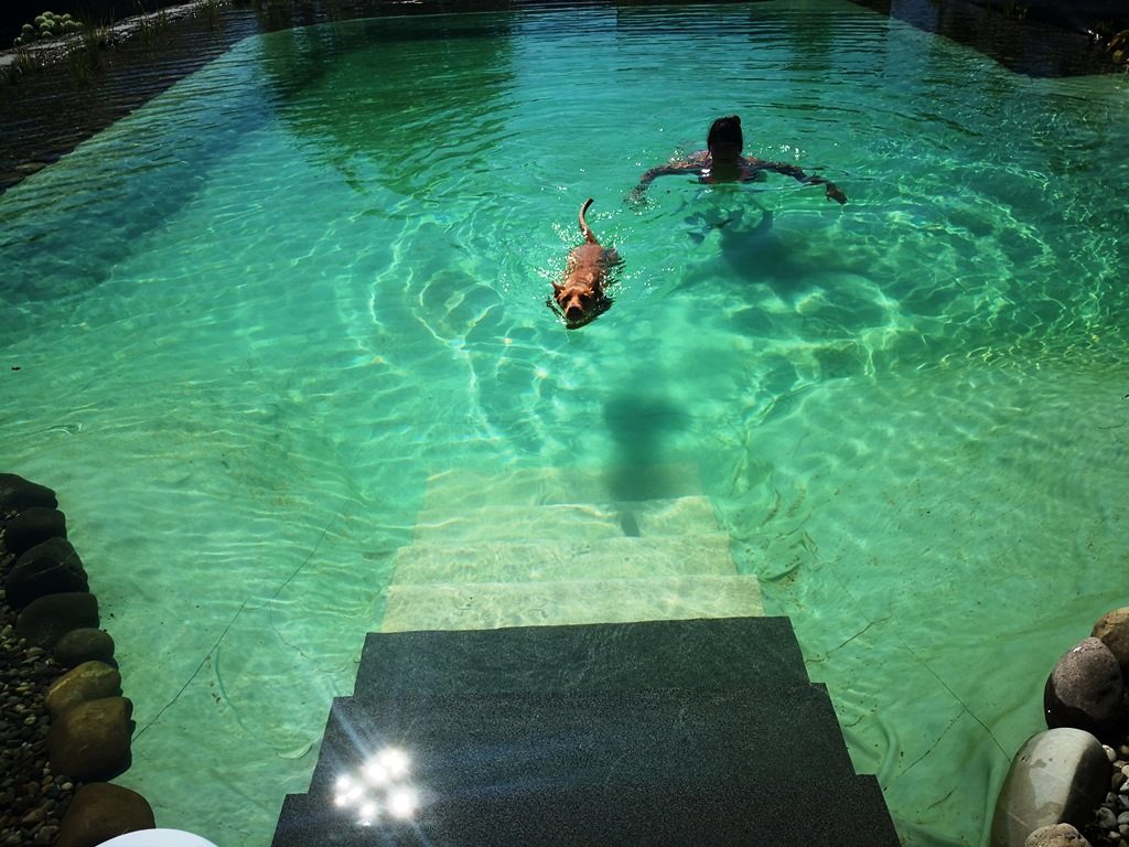 Eine Treppe im oberen Bereich mit Steinplatten und im unteren Bereich mit sandfarbener Antirutschfolie, ein Hund und eine Frau schwimmen.