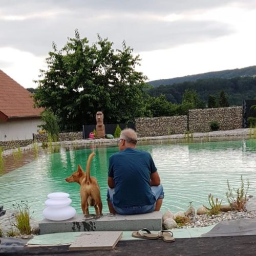 Ein Mann sitzt auf der Steintreppe, ein Hund ist daneben, und das klare Wasser lädt zum Verweilen ein. Design-Schwimmteich mit außergewönlichem Ausblick