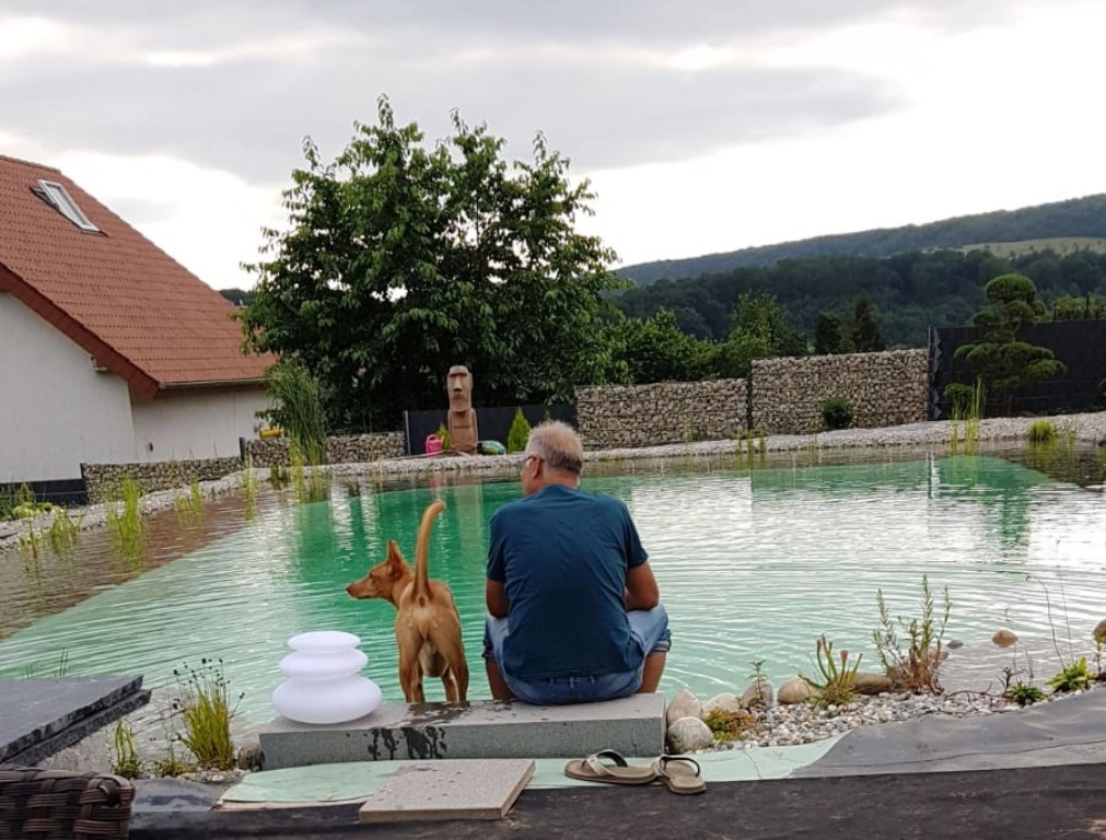 Ein Mann sitzt auf der Steintreppe, ein Hund ist daneben, und das klare Wasser lädt zum Verweilen ein. Design-Schwimmteich mit außergewönlichem Ausblick