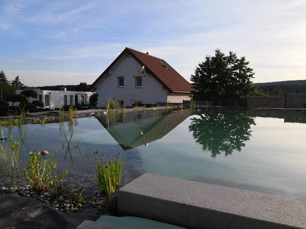 Ein Blick von der Terrasse auf den Design-Schwimmteich mit malerischem Ausblick