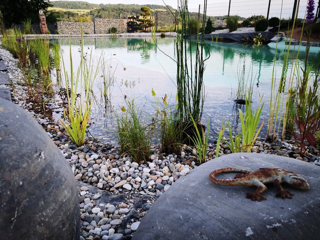 Ein schräger Blick auf den Teich zwischen zwei Findlingen.