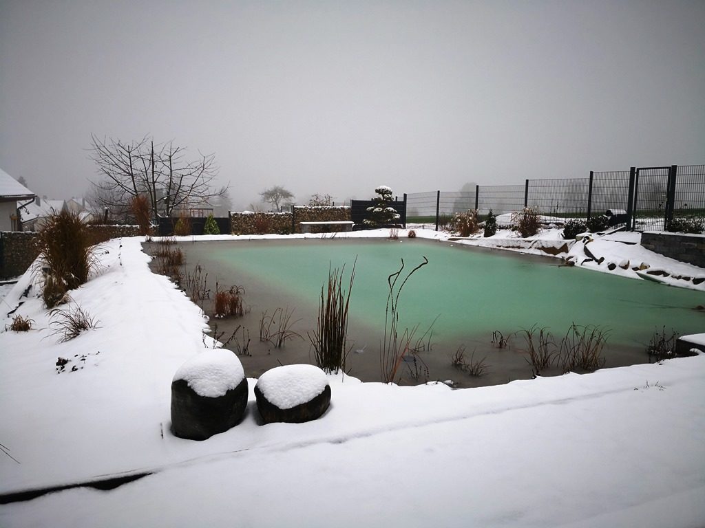 Ein Blick auf den Schwimmteich im Winter mit Schnee, die Natur in ihrer ruhigen Pracht.