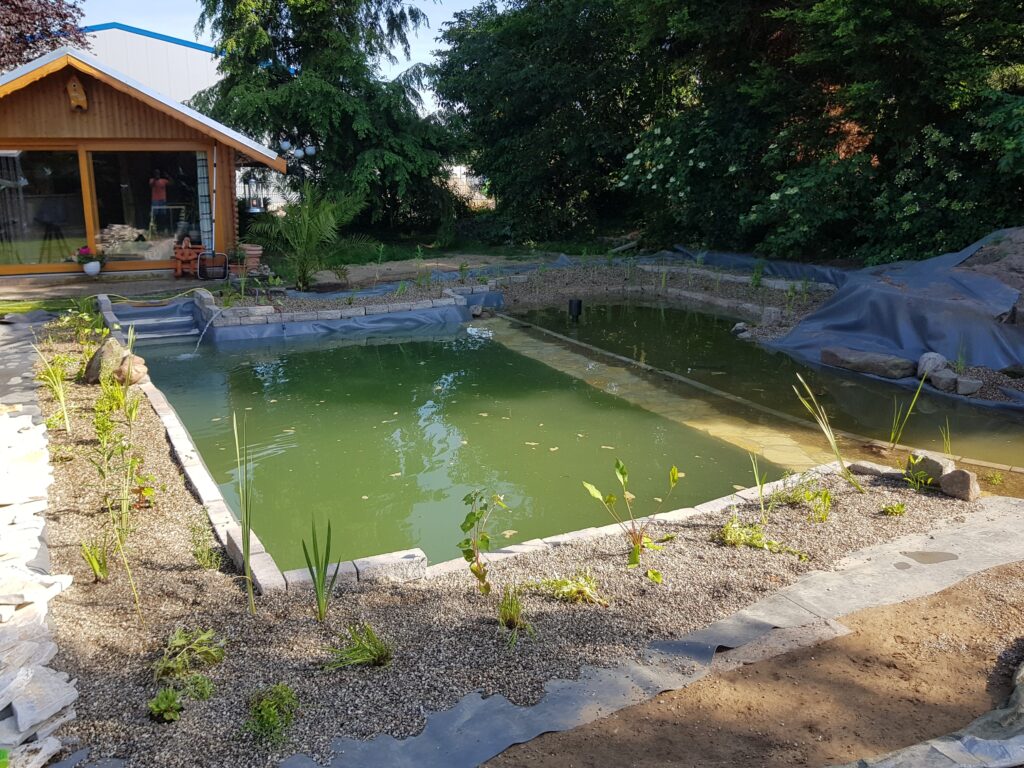 Gefüllter Schwimmteich mit Kies im Pflanzbereich