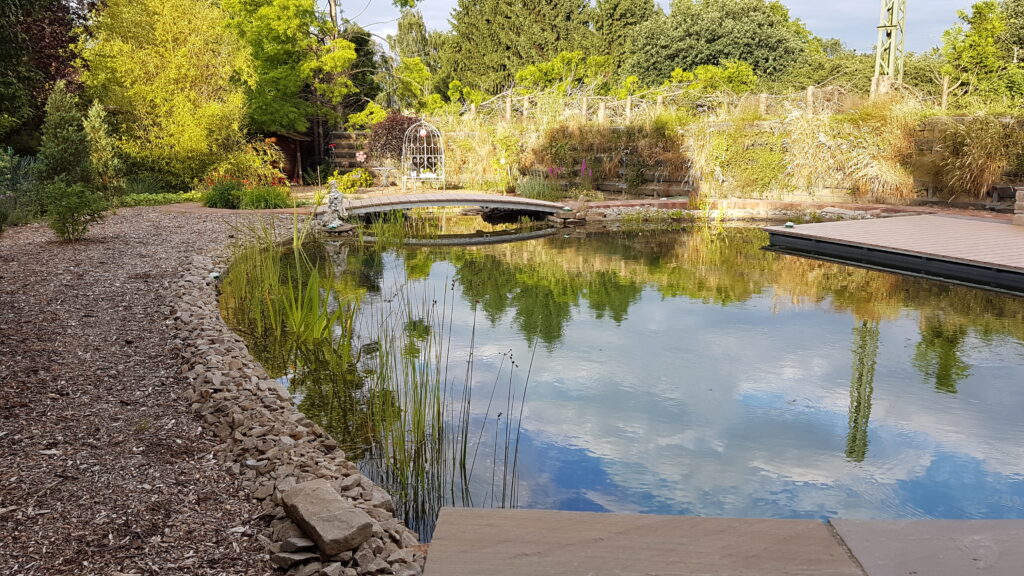 Prachtvoller Selbstbau-Schwimmteich Fertiger Schwimmteich mit kristallklarem Wasser