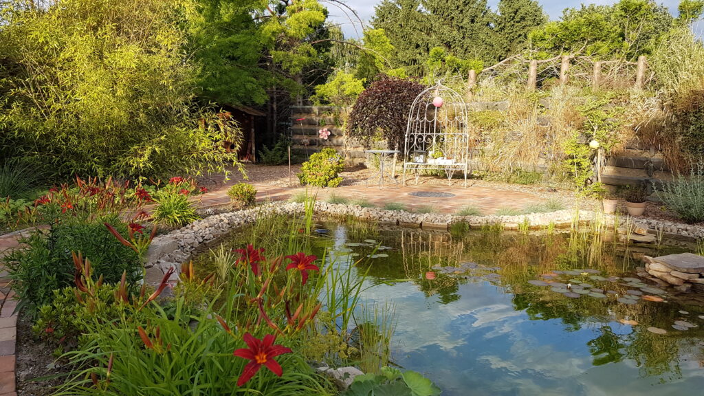 Blick auf die Pflanzzone im Schwimmteich