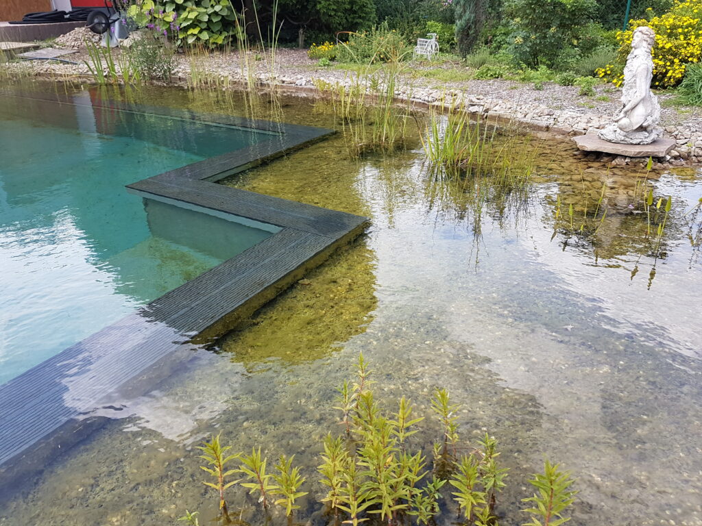 Der Wall zwischen Regenerationsbereich und Schwimmbereich wurde hier mit Holzbohlen beplankt