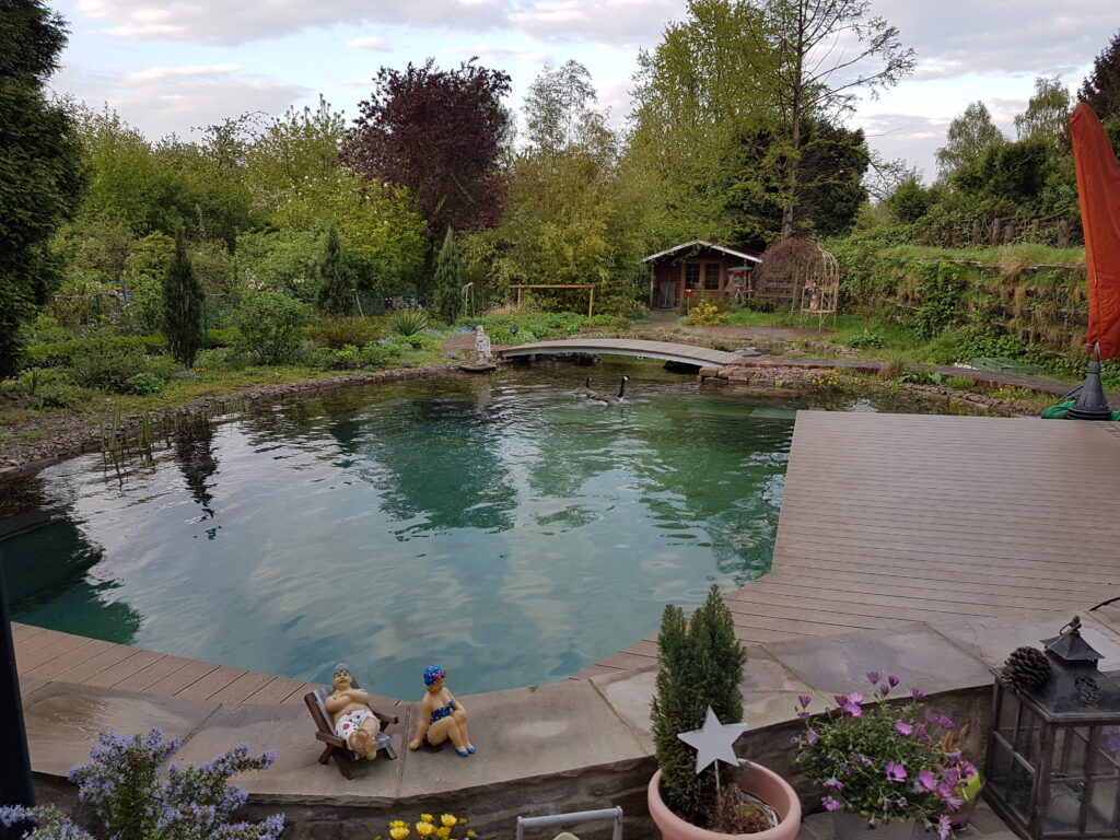 Ansicht des fertigen Schwimmteichs mit klarer Wasserfläche