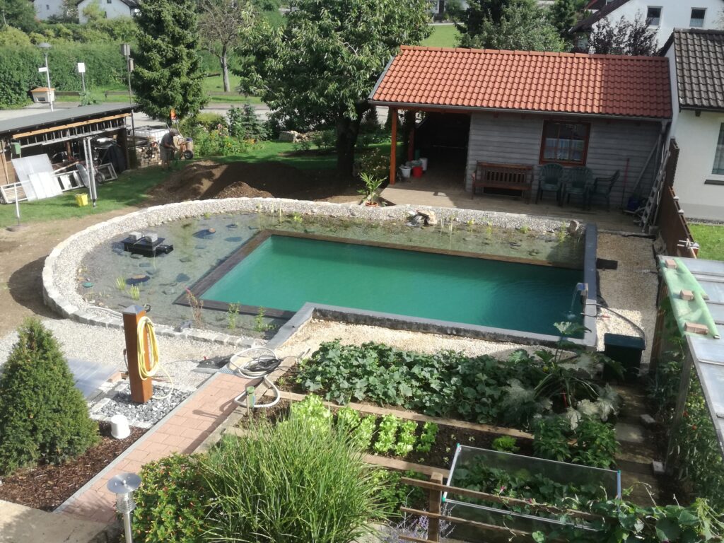 Bepflanzter Regenerationsbereich und türkisblaues Wasser – Ein harmonischer Blick auf den Schwimmteich im Garten.