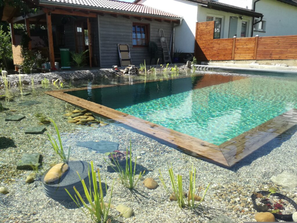 Schwimmteich mit Holzbohlenumrandung und bepflanztem Regenerationsbereich – Ein entspannter Ort im eigenen Garten.