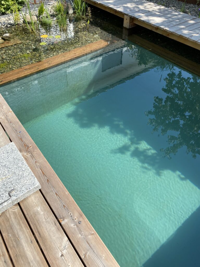 Das Wasser im Schwimmbereich ist glasklar und einladend, dank der Arbeit von Mielke's Naturbadeteich beim Selbstbau des Schwimmteichs bei Fulda.
