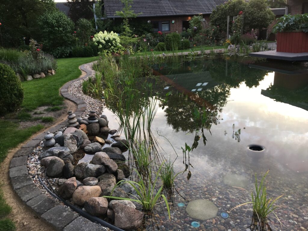 Idyllischer Schwimmteich im Garten mit reich blühenden Wasserpflanzen