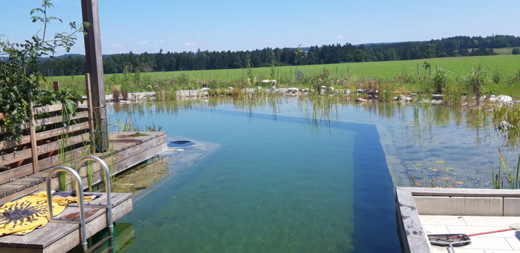 Holzsteg mit Metallleiter über dem Schwimmteich, individuelle Konstruktion gemäß Mielke's Naturbadeteich