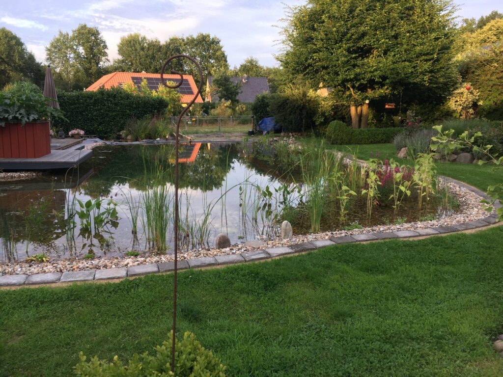 Blick auf Filterzone - Ansicht der Filterzone im Schwimmteich