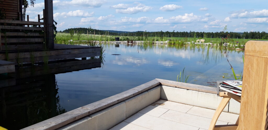 Aussicht von der Terrasse auf den Schwimmteich, Blick von der Terrasse auf das naturnahe Schwimmteichprojekt