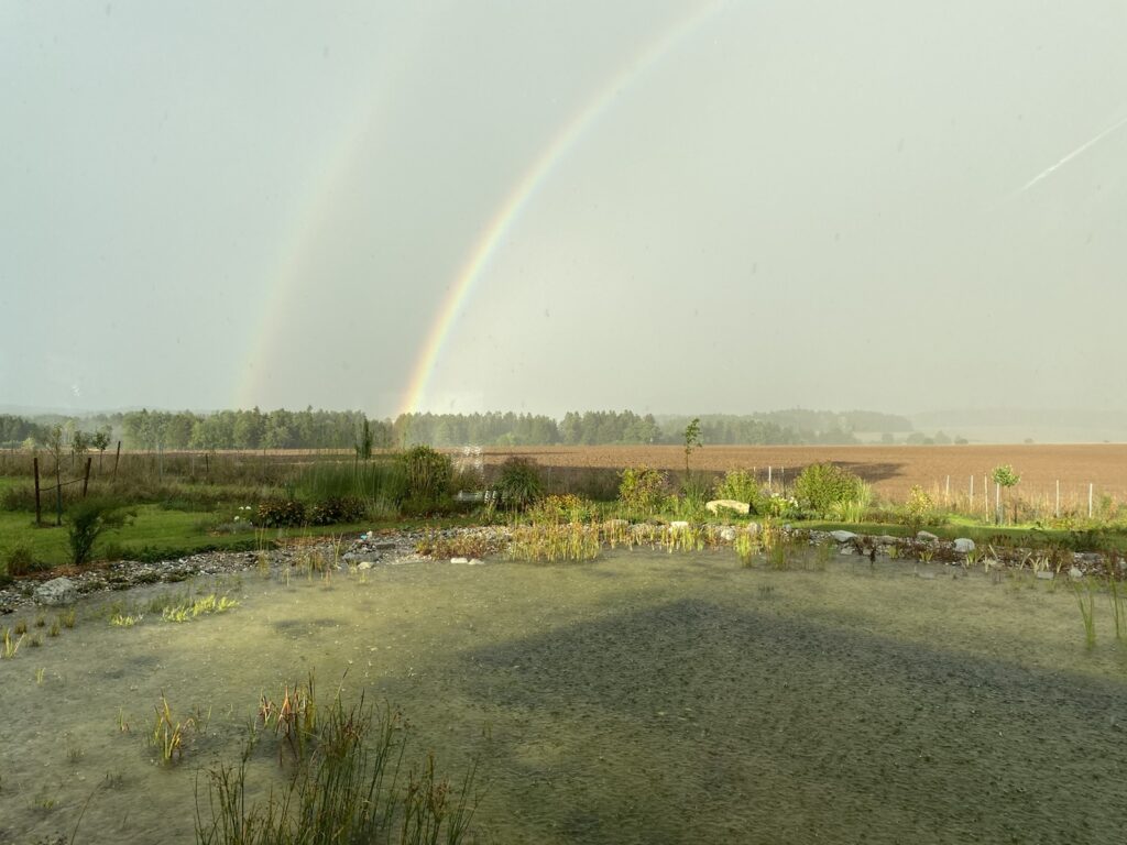 Schwimmteich bei Regen mit Regenbogen, malerisches Bild des Schwimmteichs bei Regen