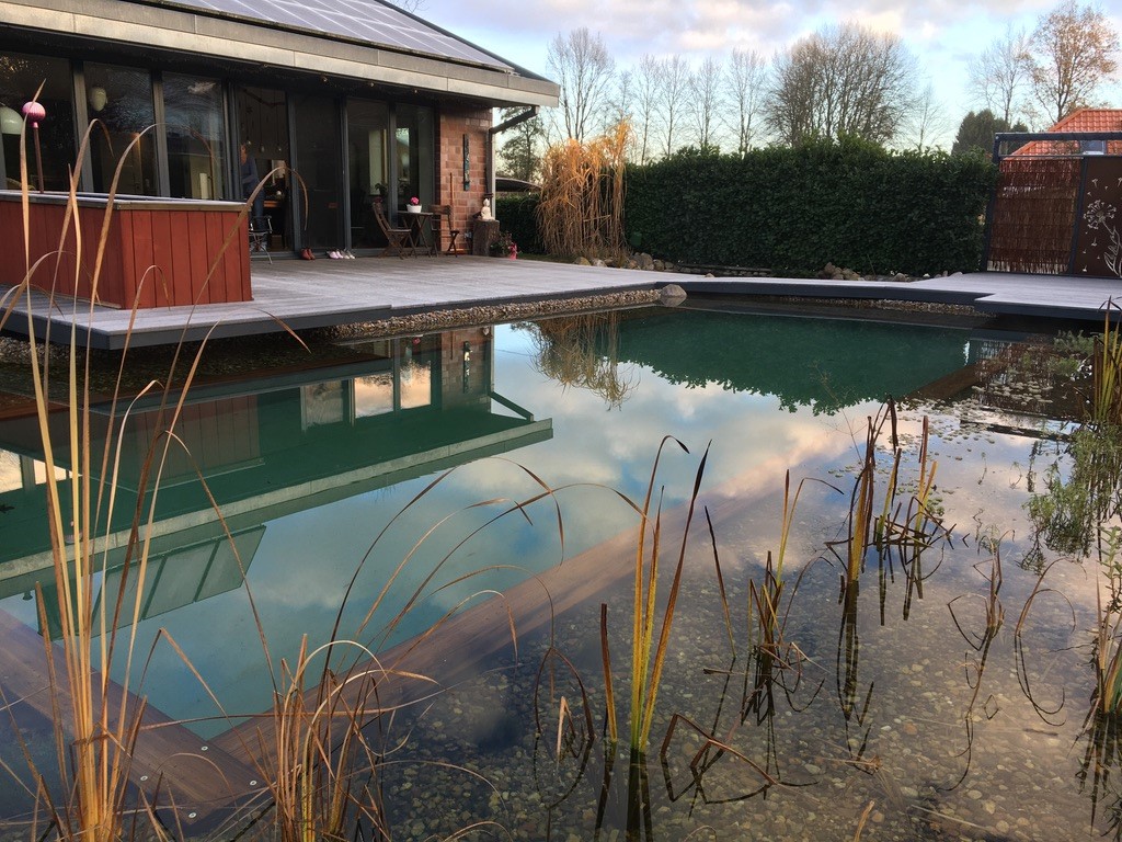 Schwimmteich selbstbau mit Profi-Hilfe: Erfahren Sie, wie Winsen's Familie ihren Traumgarten gestaltete. Schwimmteichbau leicht gemacht!