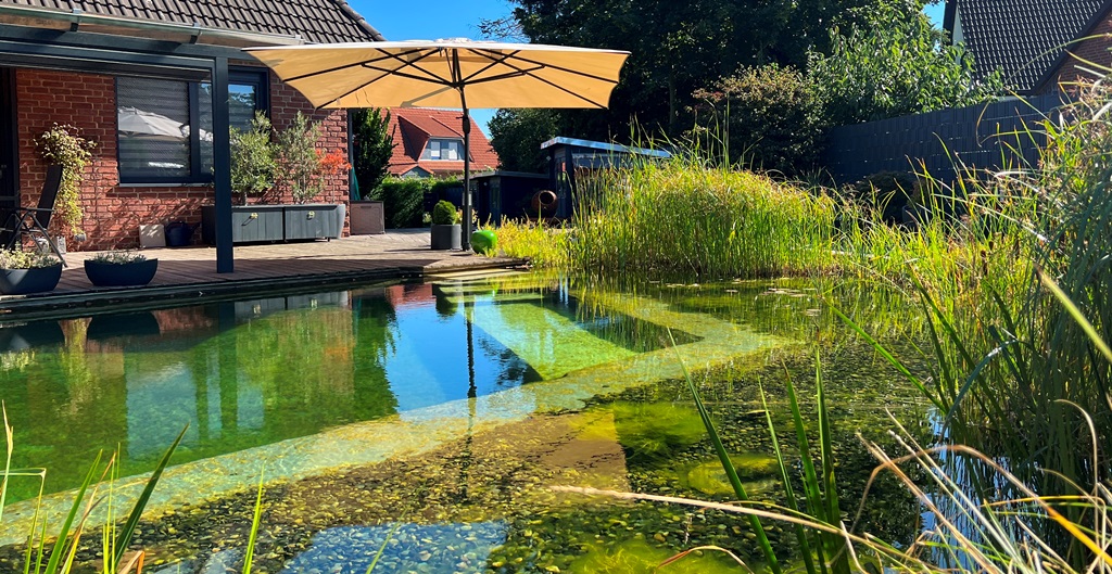 Klarer Schwimmteich mit reicher Pflanzenzone, die verschiedene Pflanzenarten zeigt.