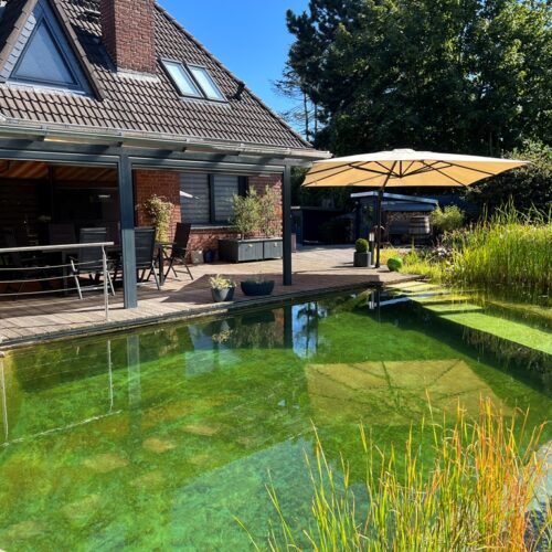 Bild zeigt die harmonische Umgebung am Schwimmteich von Mielke's Naturbadeteich. Die Terrasse mit Überdachung, ein aufgespannter Sonnenschirm und prächtige Teichpflanzen umgeben das glasklare Wasser.