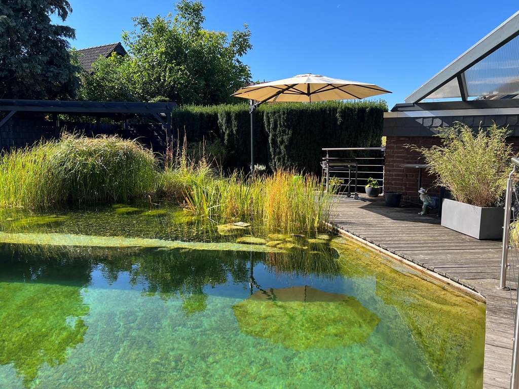Bild zeigt die üppige Teichpflanzenpracht und entspannende Atmosphäre am Schwimmteich von Mielke's Naturbadeteich. Ein aufgespannter Sonnenschirm und stilvolle Design-Elemente wie Teichbeleuchtung, Pflanzkübel und ein Grillplatz schaffen ein harmonisches Ambiente.