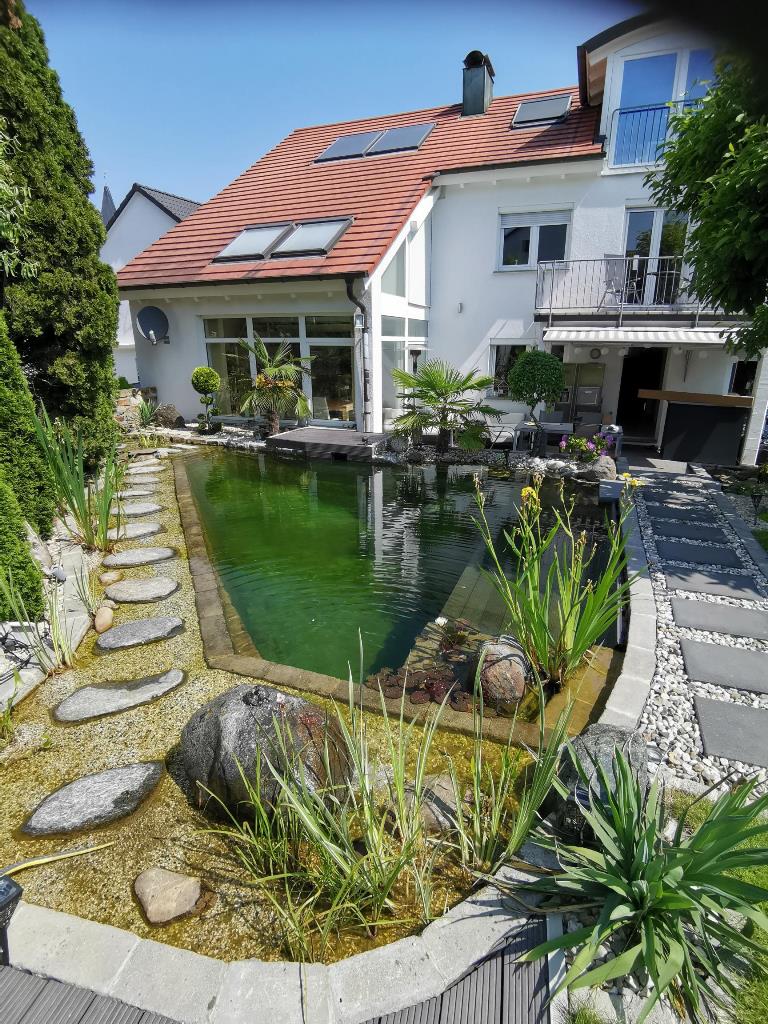 Übersicht über den Schwimmteich bei Stuttgart mit Trittsteinen, Wasserquelle und Terrasse