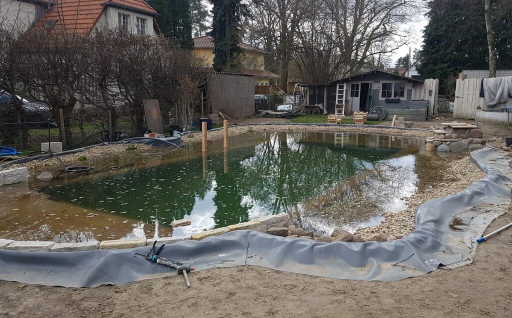 Das vorläufige Ergebnis im Herbst. Klares Wasser. Es sind weitere Arbeiten nötig. Schwimmteich im Osten von Berlin.