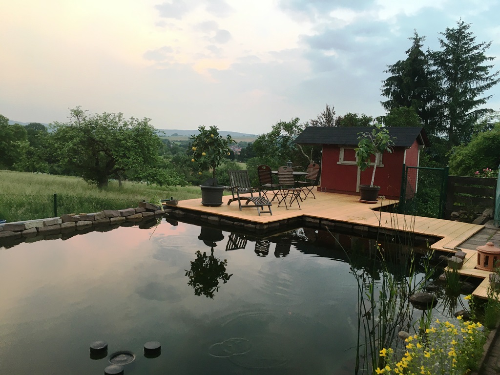 Schwimmteich bei Gießen mit atemberaubenden Ausblick