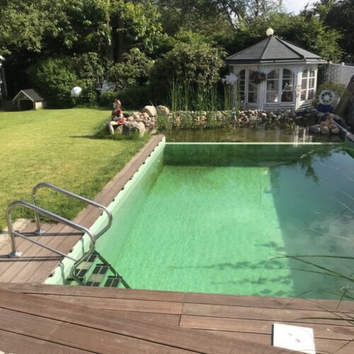 Ansicht des fertigen Schwimmteichs bei Hamburg. Mit Einstiegsleiter und Terrasse