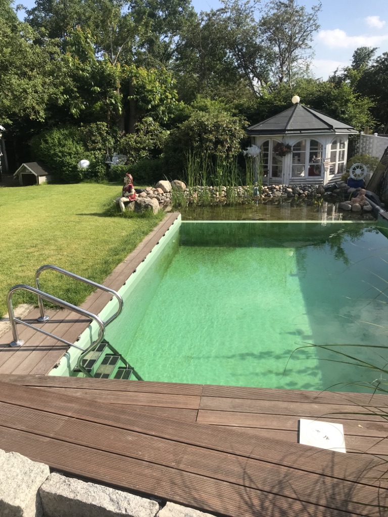 Ansicht des fertigen Schwimmteichs bei Hamburg. Mit Einstiegsleiter und Terrasse